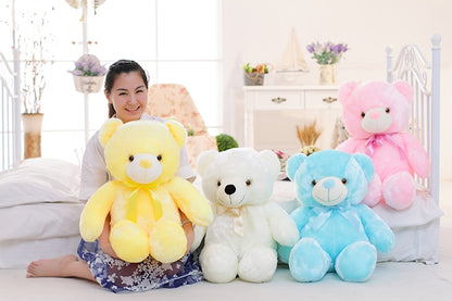 Light Up Plush Teddy Bear
