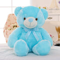Light Up Plush Teddy Bear