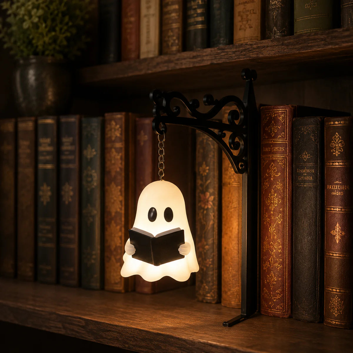 1 Decorative Bookshelf Lighting